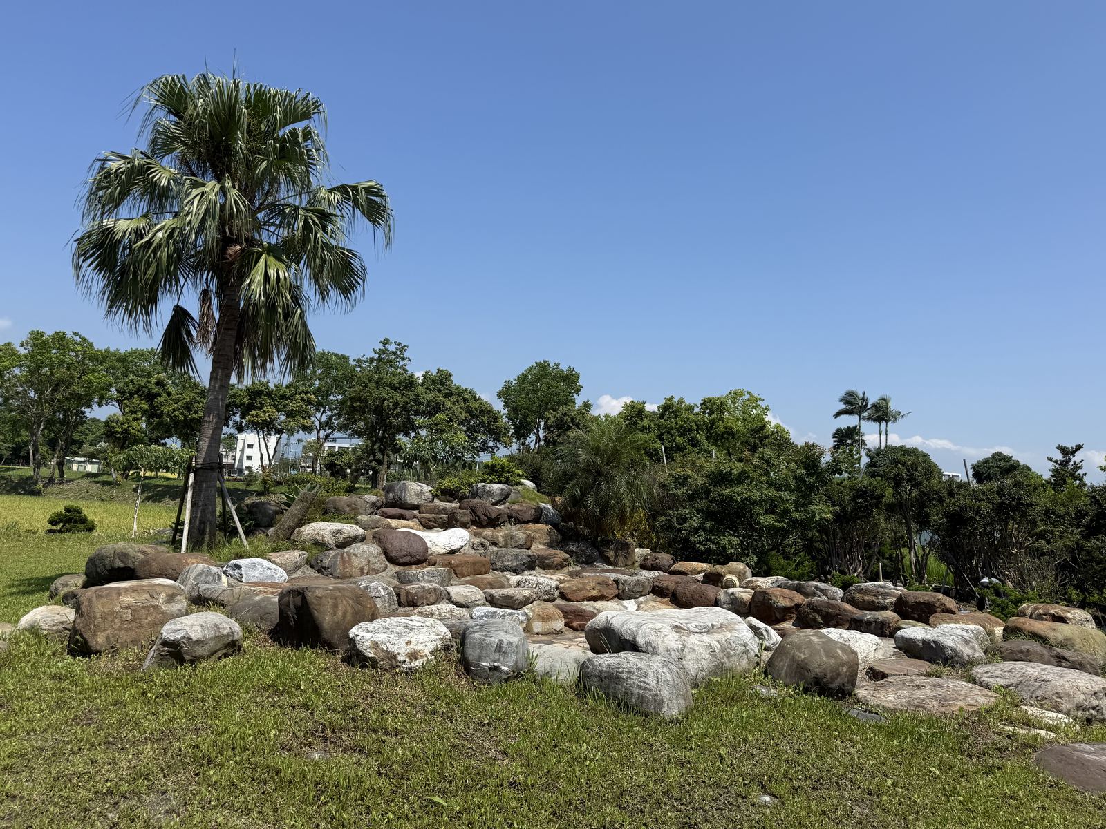 石頭造景庭院